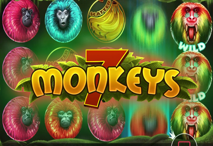 7 Monkeys